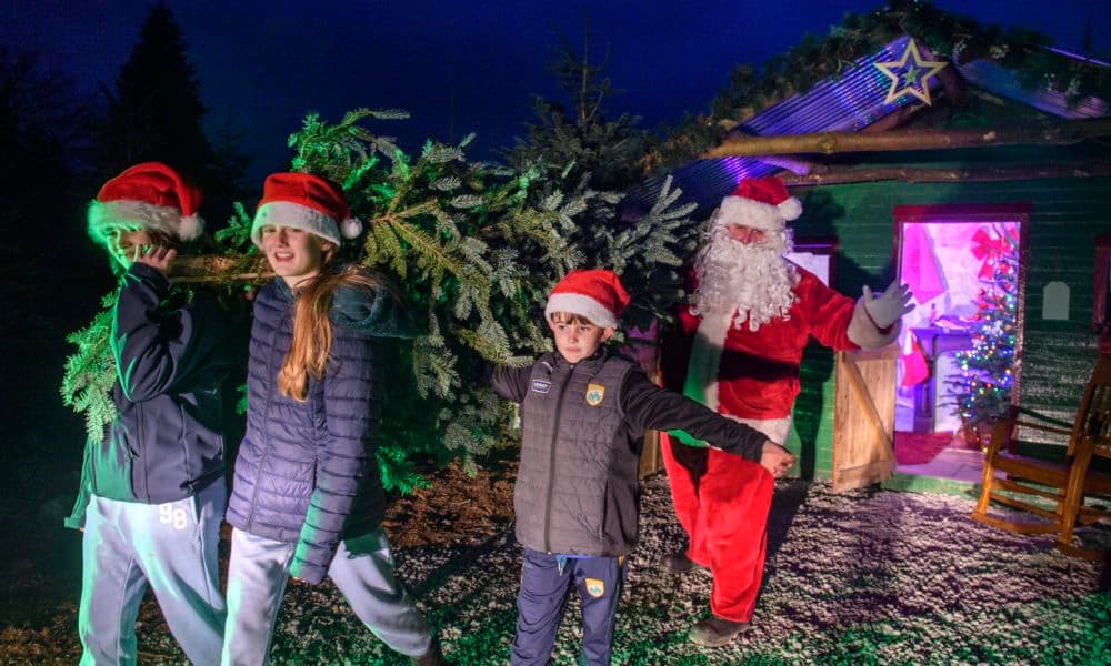 Christmas tree recycling facility