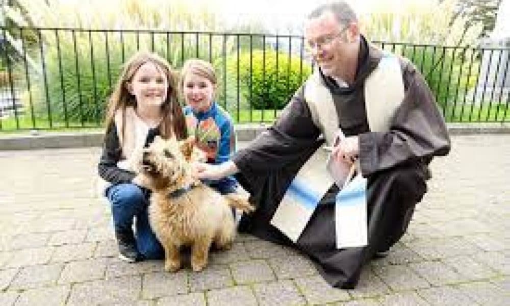 Annual blessing of the animals at the Friary