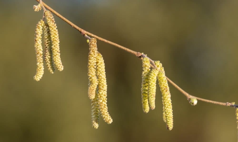 Plant with the seasons for year round colour