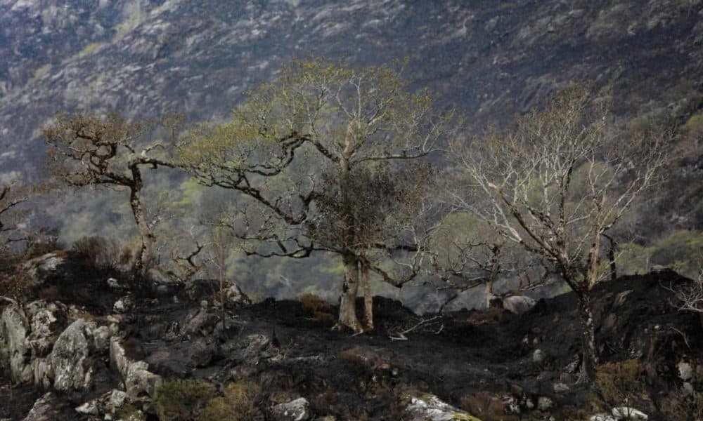 Farmers penalised over National Park blaze