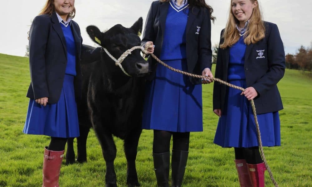 Killarney students honoured at Certified Irish Angus Awards