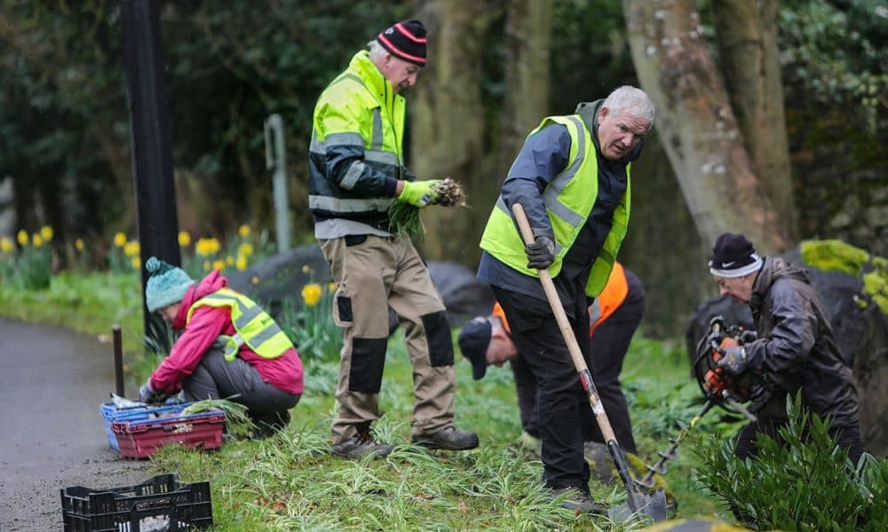 Killarney hasn’t lost its golden Tidy Towns touch