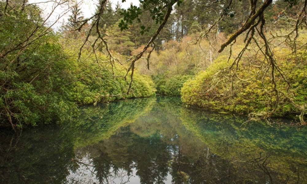 Mountain Meitheal volunteers brave the weather to tidy Blue Pool