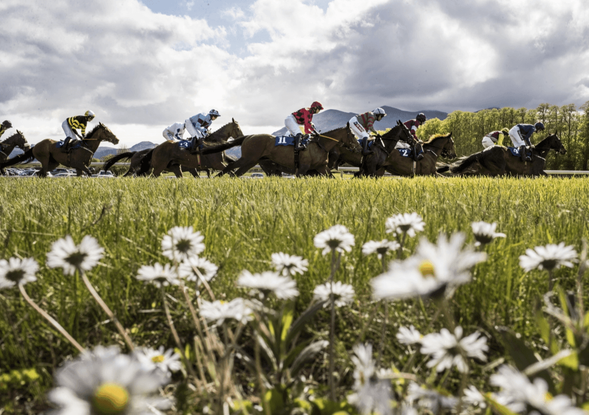 Killarney Races welcomes back spectators!