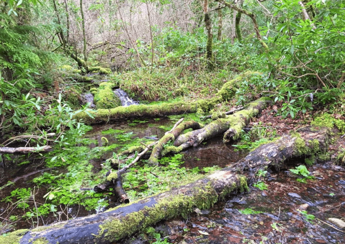 The Blue Pool