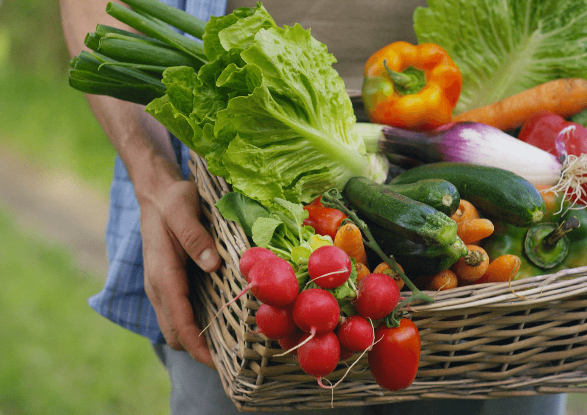 Local Libraries Support 'Grow it Yourself' Initiative