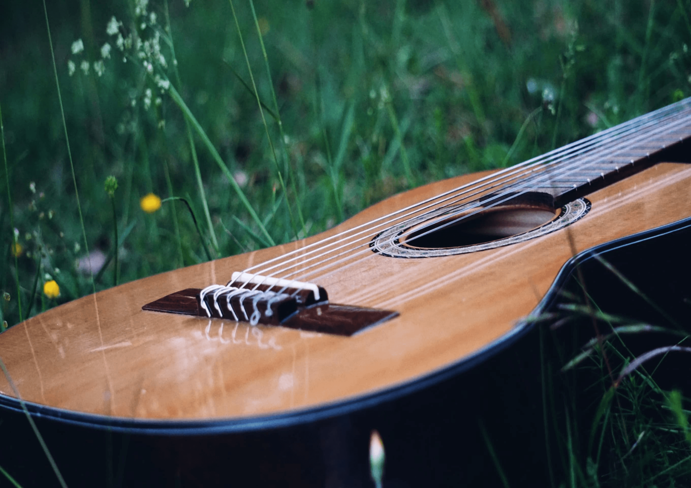 Free Outdoor Concert in Gort - Music in the Woods