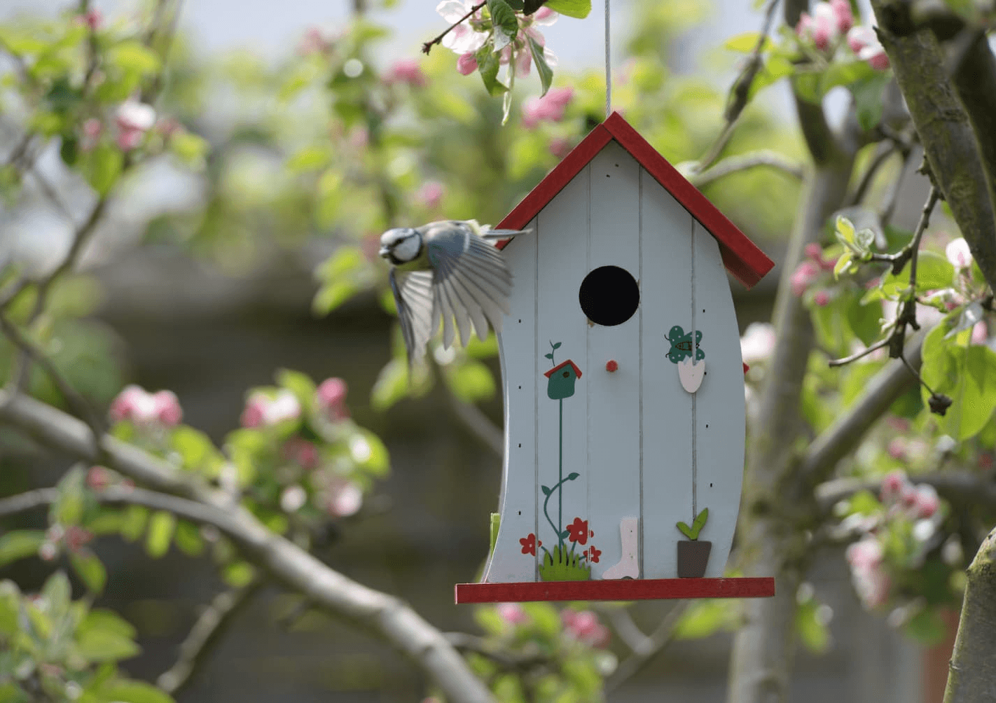 Springing to Life: Plant and Wildlife Guide For Nature Walks