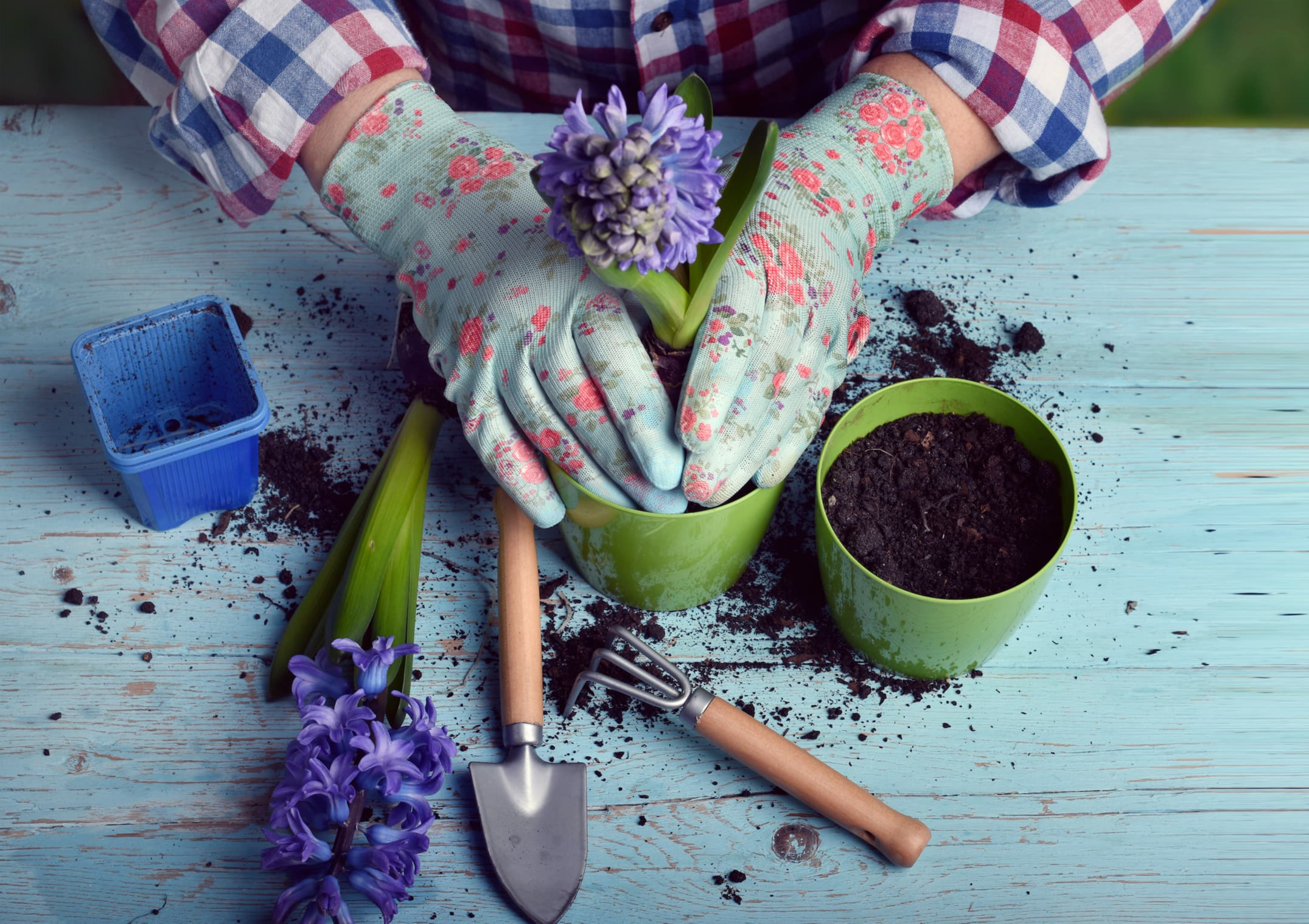 Gardening Makes us Happier and Healthier, Research Suggests 