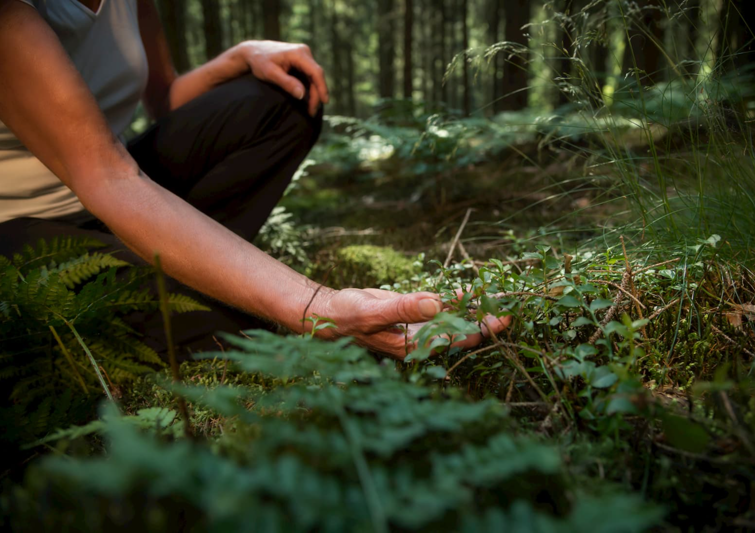 Forest Bathing: How Spending Time in the Woods Can Improve Your Health